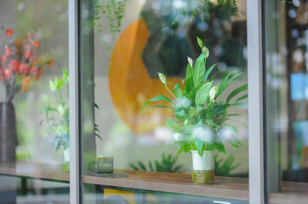 Solutions Innovantes pour le Recrutement de Médecins Généralistes : Optimisez Vos Efforts